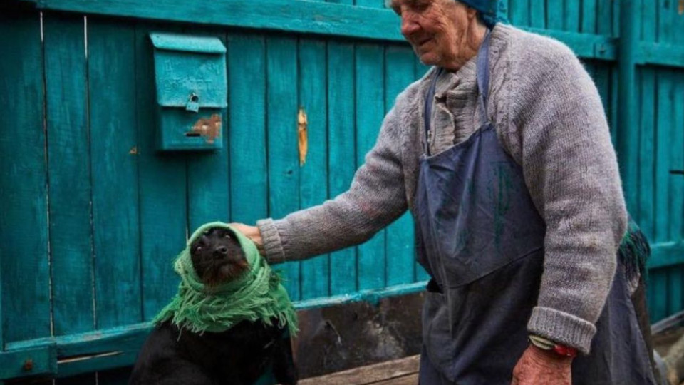 Под Киевом женщина показала, как укутывала собаку во время обстрелов оккупантов: фото