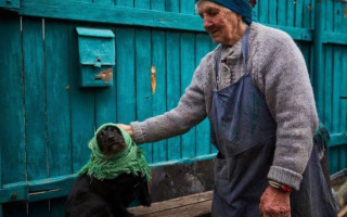 Под Киевом женщина показала, как укутывала собаку во время обстрелов оккупантов: фото