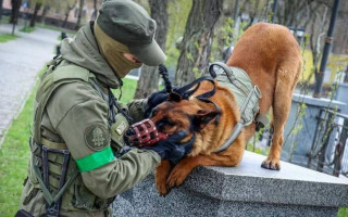 Украина в качестве трофеев получает не только танки и оружие: фото