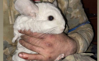 Показали будни защитников Мариуполя, фото