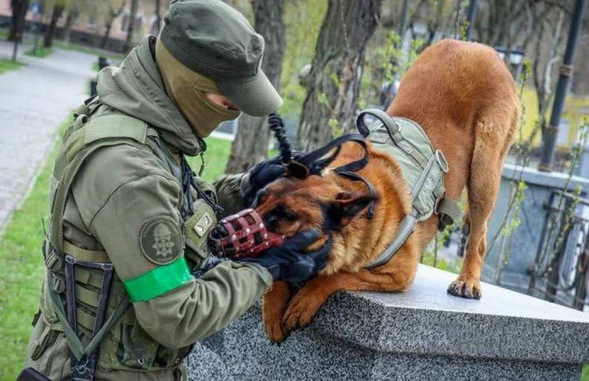 Украина в качестве трофеев получает не только танки и оружие: фото