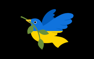 Содержит информацию о ситуации на территории Украины: в РФ заблокировали популярный шахматный онлайн-сервис Chess.com