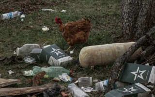 Как выглядят поселки под Киевом, в которых побывали оккупанты: фото