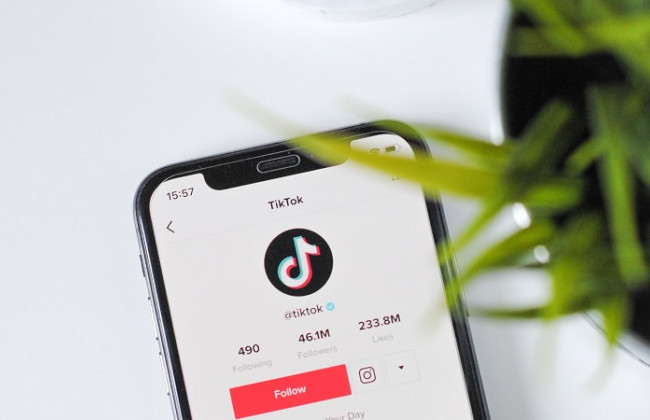 Публикация передвижения военных сил Украины: TikTok начал оповещать пользователей о нарушении уголовного законодательства