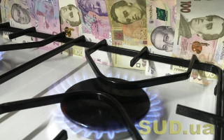 Шмыгаль сообщил, подорожает ли газ для населения