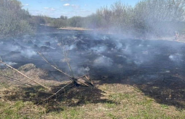 Оккупанты обстреляли позиции пограничников в Сумской области: видео
