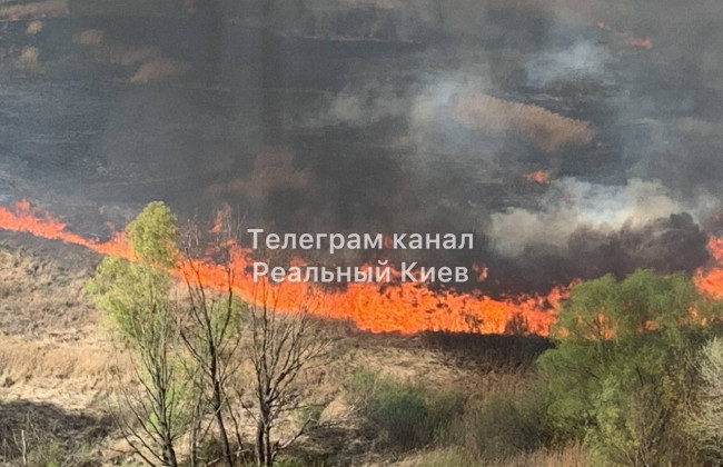 В Киеве на Троещине загорелся камыш: фото мощного пожара