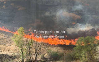 В Киеве на Троещине загорелся камыш: фото мощного пожара