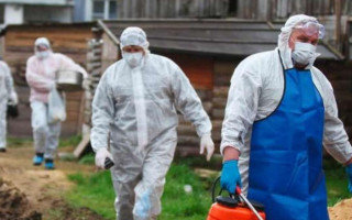 В РФ готовятся к эпидемии холеры в приграничных с Украиной областях — разведка