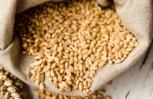 Окупанти відібрали в аграріїв вже 400 тисяч тонн зерна