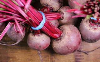 Возле Броваров саперы обнаружили минное поле, которое фермеры с краев уже засеяли свеклой