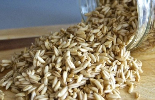 Украина во время военного положения ограничила экспорт гречки, ржи и овса