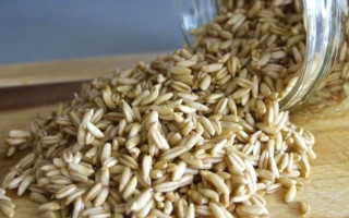 Украина во время военного положения ограничила экспорт гречки, ржи и овса