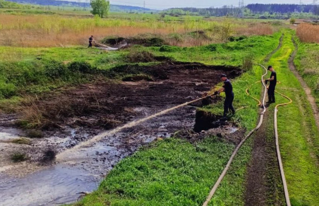 Под Киевом горели торфяники: опубликовали видео
