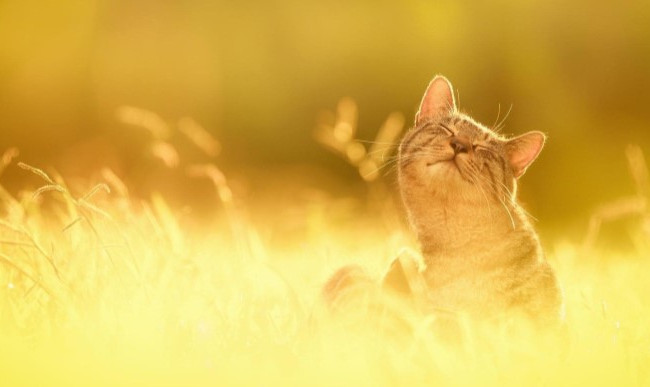 «Прыжок в лето»: синоптики сообщают о резком потеплении