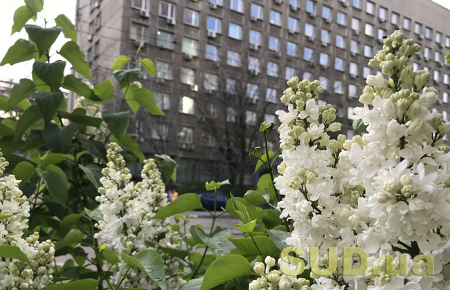 Приметы на 14 мая: что нельзя делать, чтобы не отпугнуть счастье