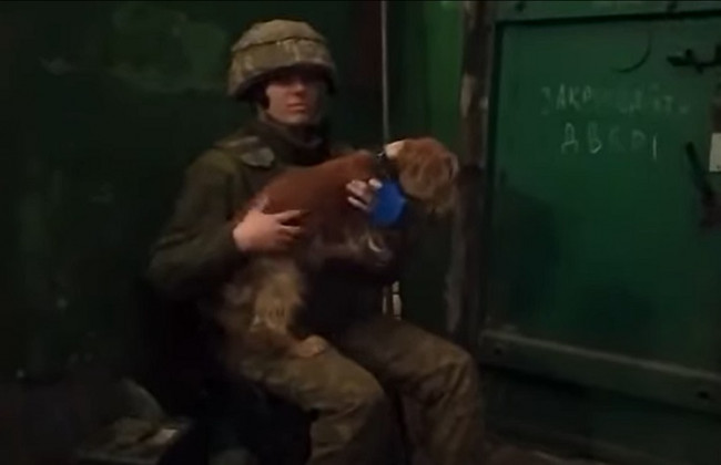 Несет службу вместе с героями: пограничница из «Азовстали» показала свою четырехлапую напарницу Соню, видео