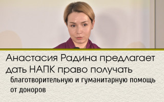 Анастасия Радина предлагает дать НАПК право получать благотворительную и гуманитарную помощь от доноров