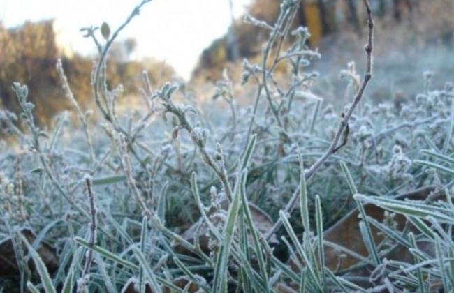 В Украину идут заморозки: назвали области