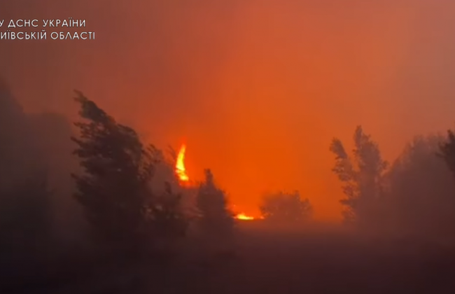 Под Чернобылем горит лес: видео