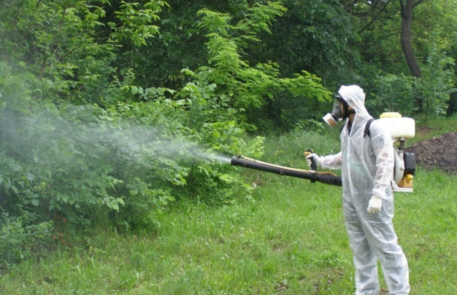 Киевлян и гостей столицы просят 19 мая не посещать некоторые парки Днепровского района