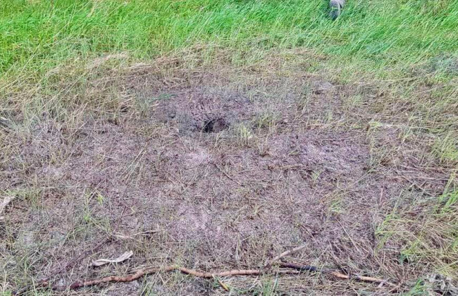 Двое мужчин подорвались на мине в поле на Киевщине