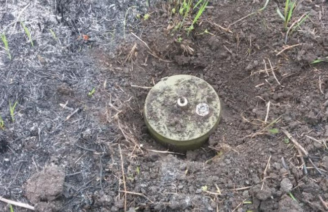 Под Киевом двое мужчин подорвались на мине