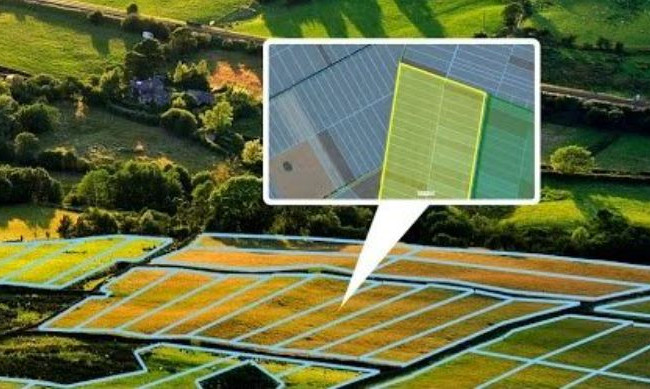 Як Державний земельний кадастр відновлює роботу в умовах воєнного стану, ІНФОГРАФІКА