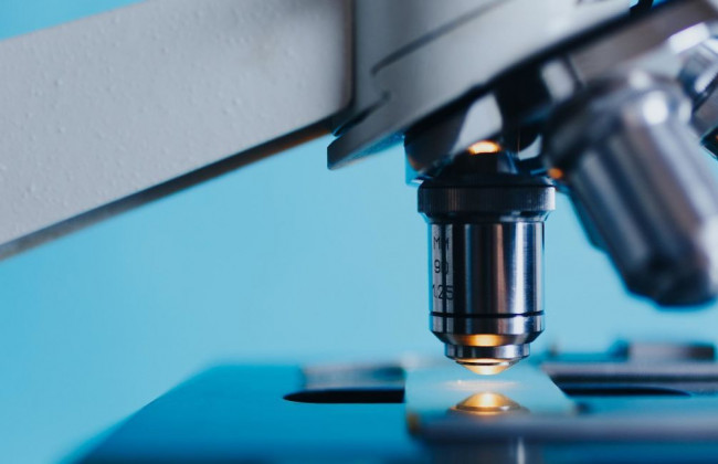 В ВОЗ не исключают летний рост заболеваемости оспой обезьян в Европе