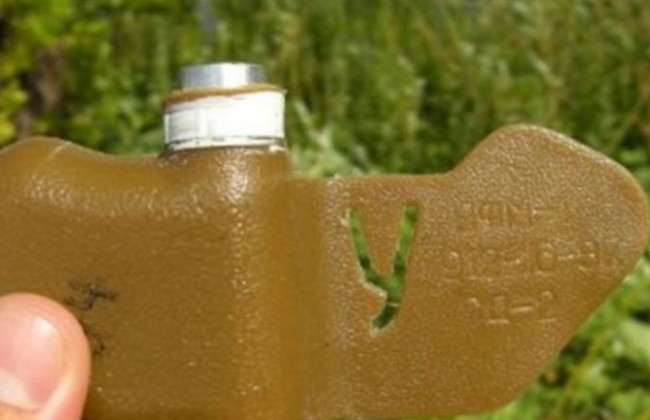 Влада Києва опублікувала список небезпечних для відвідування парків