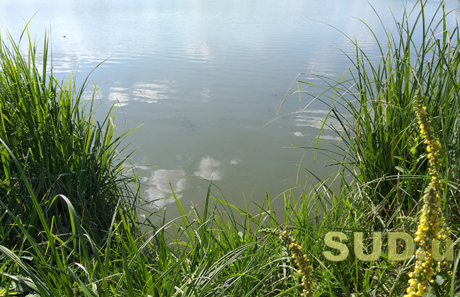 «Денацификация» рыбы: оккупанты попали ракетой в реку в Днепропетровской области