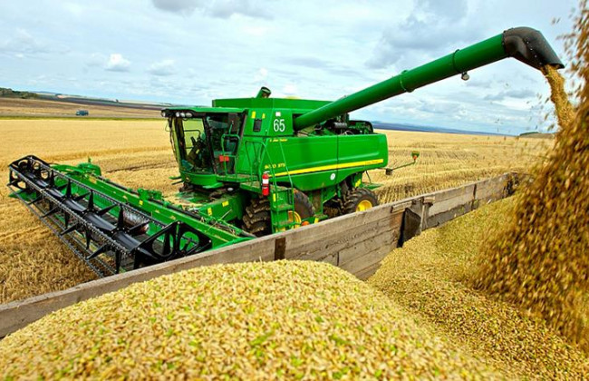 Як зазначати в єдиній звітності дохід члена фермерського господарства