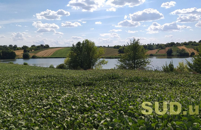 Особливості управління земельними ресурсами в умовах воєнного стану