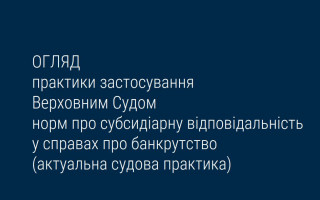 Застосування ВС норм про субсидіарну відповідальність у справах про банкрутство: огляд практики
