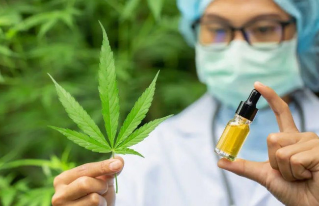 Кабмін знову пропонує легалізувати використання канабісу в медичних та наукових цілях