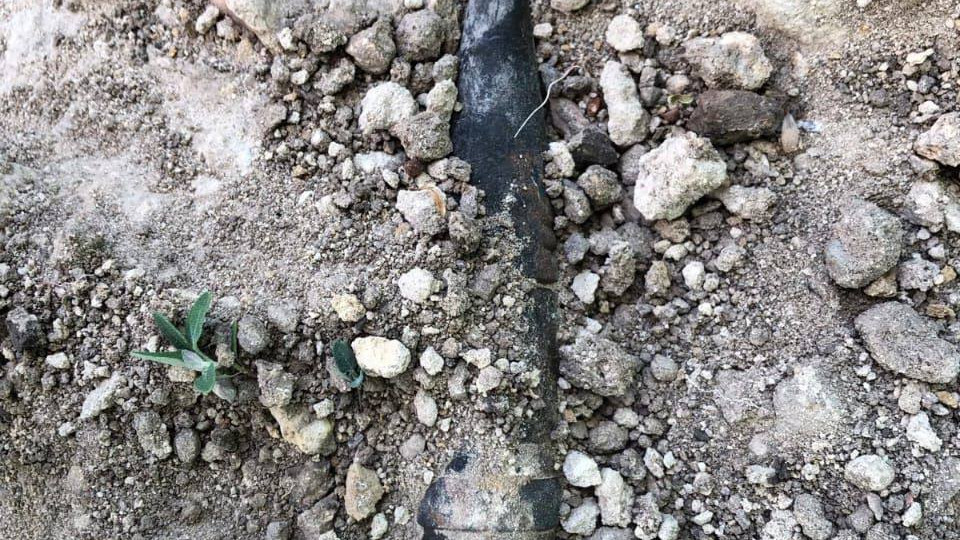 Службовий пес прикордонників винюхав снаряд на околиці столиці, фото та відео
