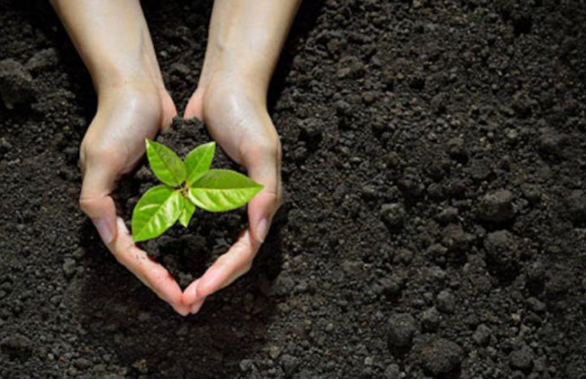 Особливості подання уточнюючої декларації з плати за землю у період дії воєнного стану