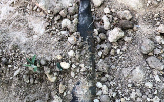 Службовий пес прикордонників винюхав снаряд на околиці столиці, фото та відео