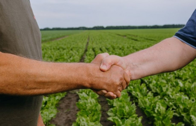 Як зареєструвати договір оренди земельної ділянки в умовах воєнного стану: роз’яснення