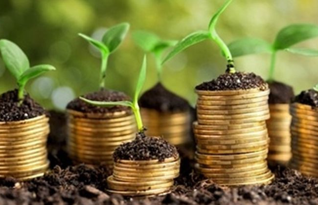 В Україні працюють над запуском Фонду часткового гарантування кредитів у сільському господарстві