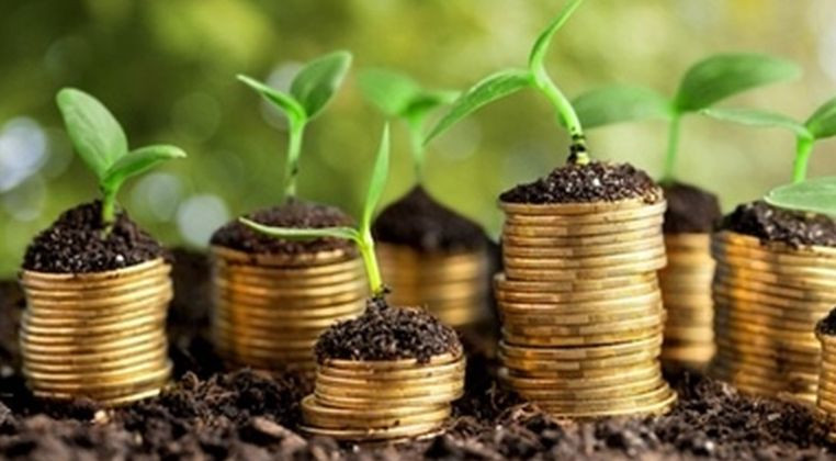 В Україні працюють над запуском Фонду часткового гарантування кредитів у сільському господарстві