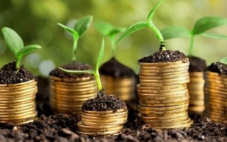В Україні працюють над запуском Фонду часткового гарантування кредитів у сільському господарстві