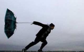 Киевлянам дали советы, как действовать во время сильного ветра