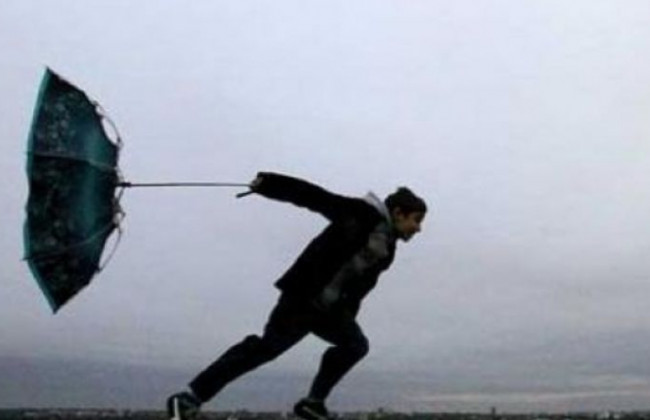 Киевлянам дали советы, как действовать во время сильного ветра