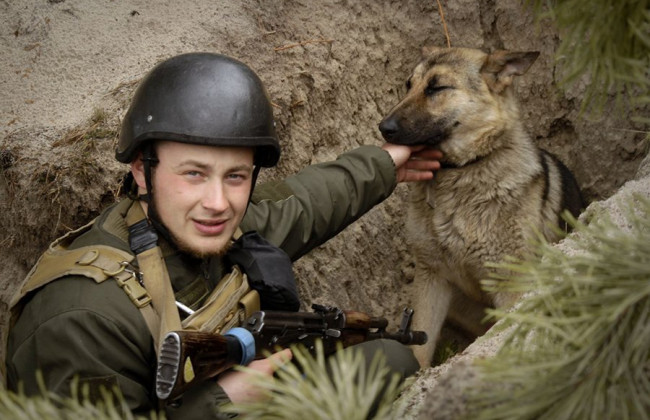 Вірний друг Фауст: під час боїв нацгвардієць знайшов собі чотирилапого помічника, фото