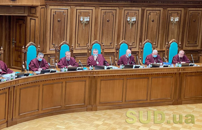 Конституционный Суд вернулся к рассмотрению представления Галины Третьяковой о возможность сокращать соцвыплаты