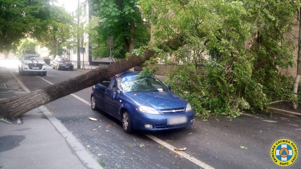 В Киеве из-за непогоды дерево разбило автомобиль: фото