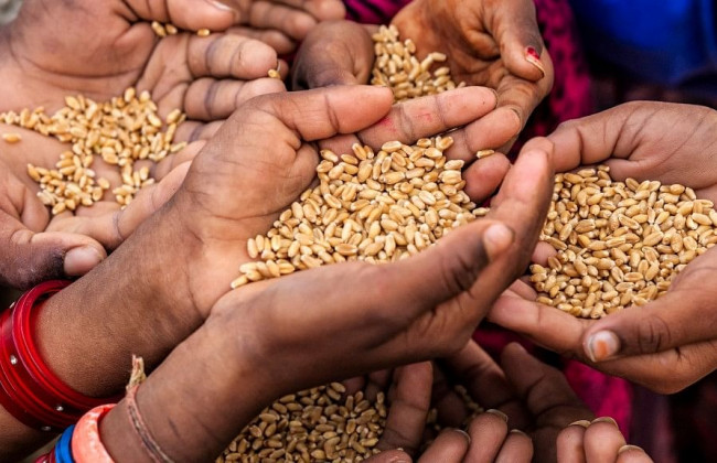 Из-за блокирования Россией украинских портов 218 млн человек под угрозой голода, — ООН