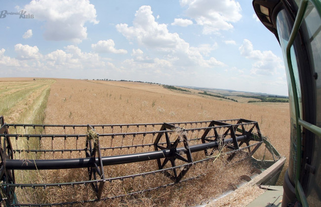 Експерт відповів, чи варто чекати українцям на голод