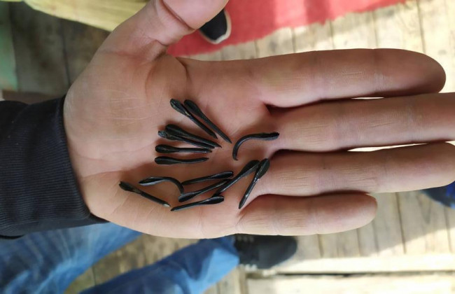 Війська РФ обстріляли прикордоння Сумщини артснарядами, начиненими флешетами – ДПСУ, фото та відео